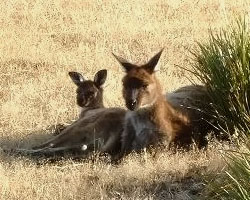 A shady spot in the midday sun