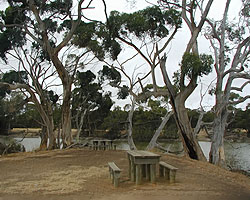 Picnic area