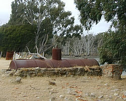 The old eucalypt distillery