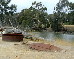 The old eucalypt distillery