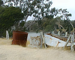 The old eucalypt distillery