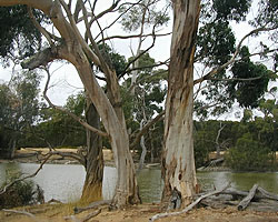 Lagoon Panorama