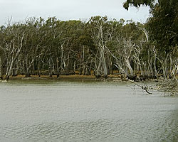 Lagoon Panorama