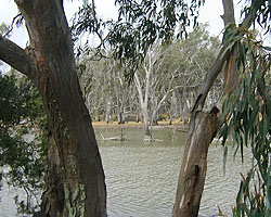 Lagoon Panorama