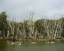 Lagoon Panorama