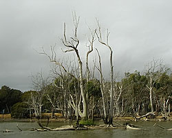 Lagoon Panorama