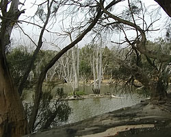 Lagoon Panorama