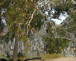 Lagoon Panorama