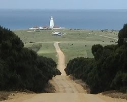 The Lighthouse in the distance