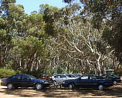 Part of the Carpark