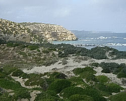 View from Pub Cove