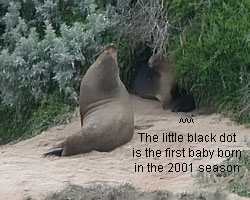 Proud Mum and Dad