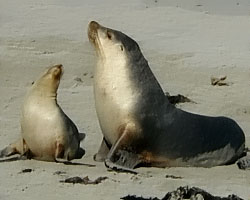 I can see what you see