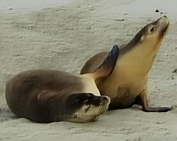 I love you too.. but let me sleep