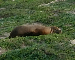 It was a hard Nights work