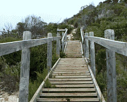 500 steps to Prospect Hill