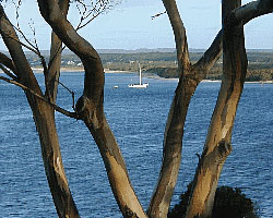 View from the General Store