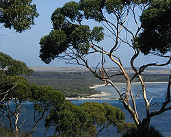 View to Strawbridge Point