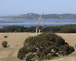 Pelican Lagoon