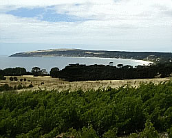 Emu Bay