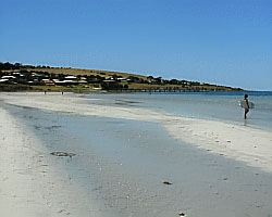 Emu Bay township in the background