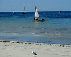 Save sailing for the kids
