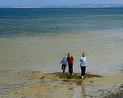 Mainland Australia in the background