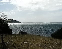 View from Reeves Point
