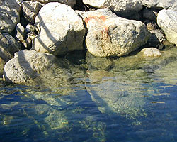 Reflections in the pool