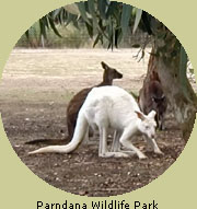 Parndana Wildlife Park