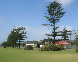 The Foreshore Park