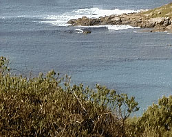 Near The Jetty